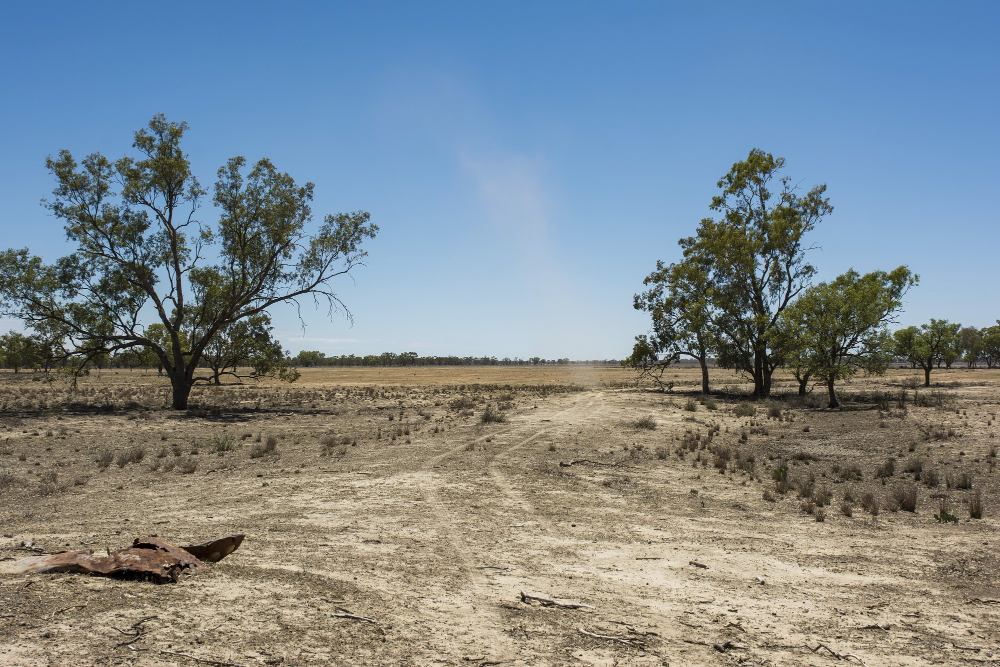 Achieving Quality Results in Land Clearing