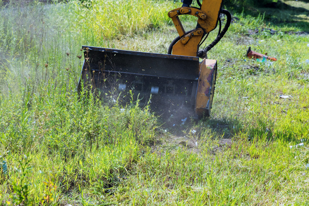 The Importance of Expert Land Clearing Services