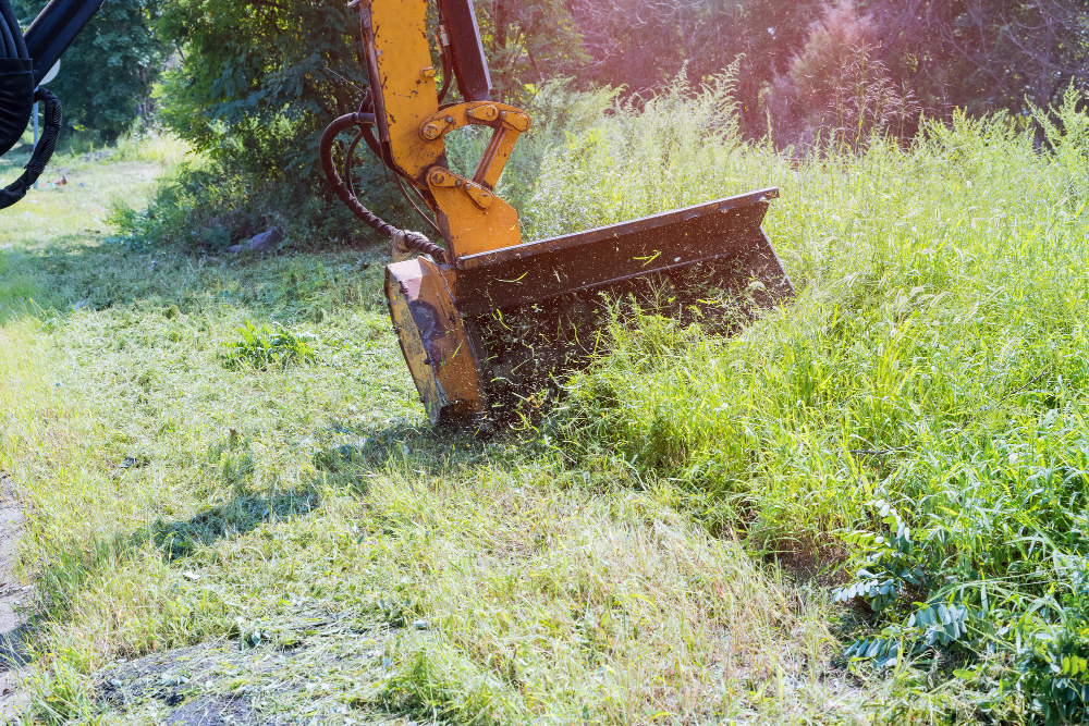 Harnessing Technology for Efficient Vegetation Management