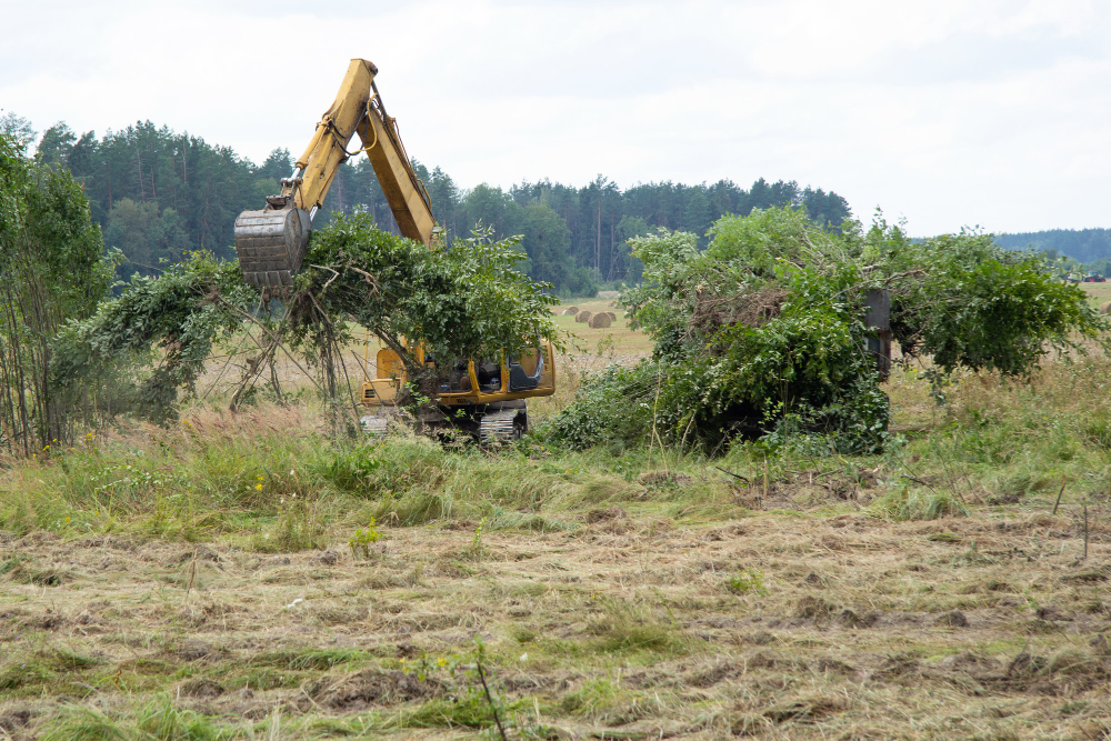 Expert Tips for Efficient Land Clearing & Vegetation Management