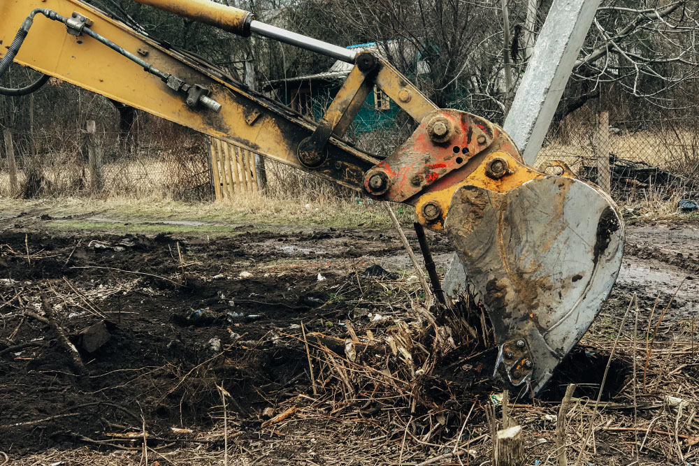 The Importance of Expert Land Clearing