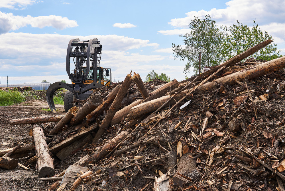 Maximizing Space: The Benefits of Tree Mulching