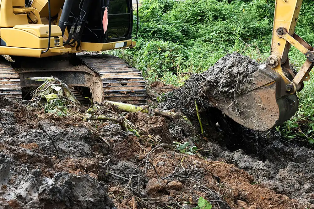 Your Complete Guide in Land Clearing