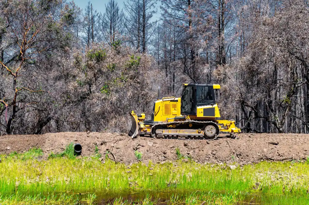 Top Benefits of Professional Land Clearing