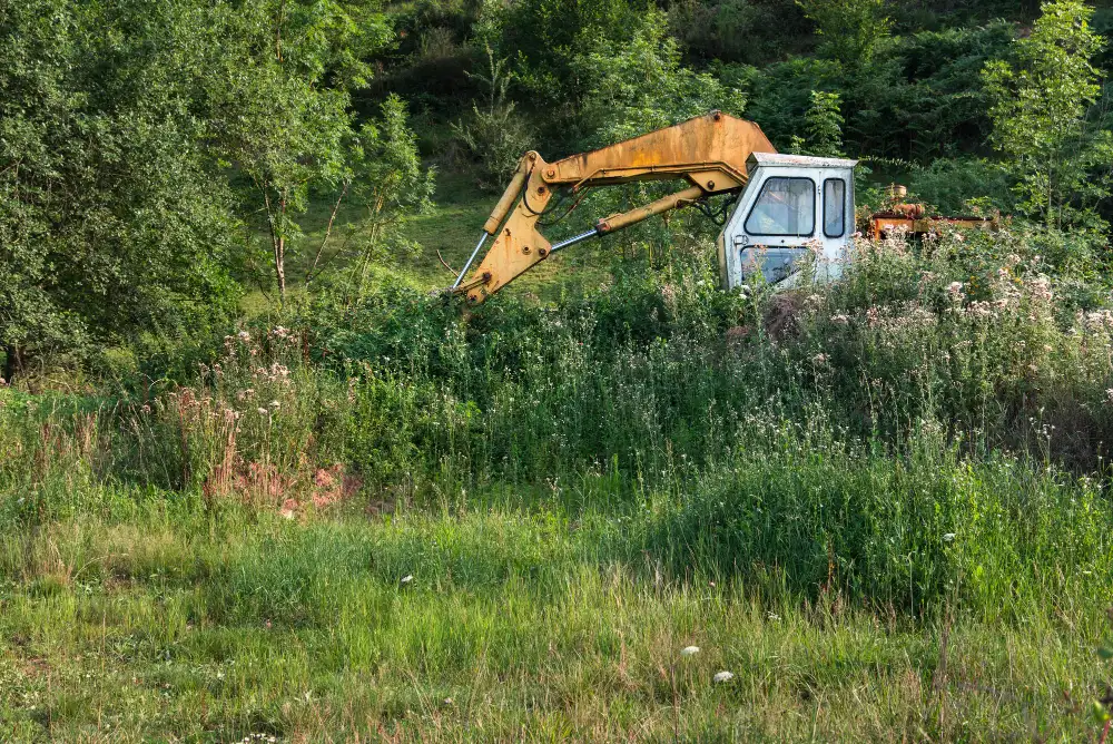 A Step-by-Step Guide to Proper Land Clearing