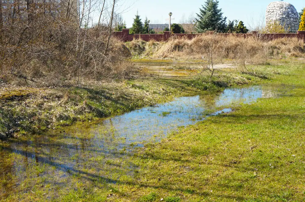 Land Clearing for Lakes and Ponds: A Complete Guide