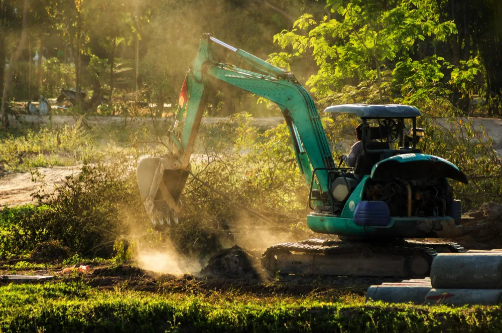 Why Is Land Clearing Needed? Everything You Should Know
