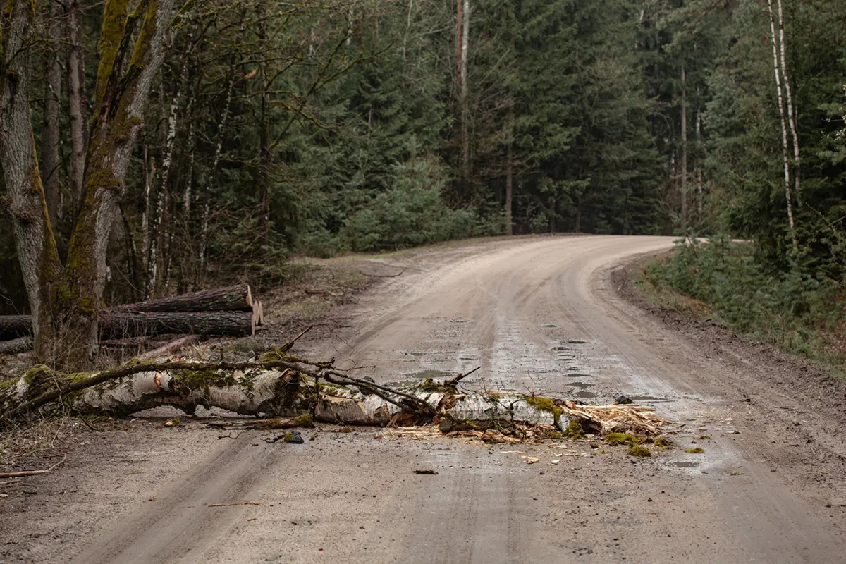The Importance of Regular Road Maintenance